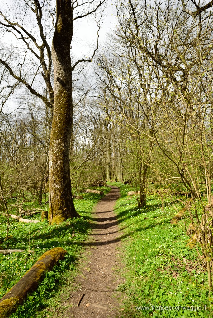 98DSC_4651.JPG