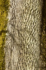 112DSC_4677