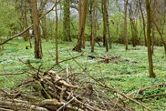 128DSC_4705