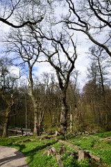 139DSC_4722