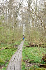 15DSC_4519