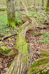 20DSC_4529