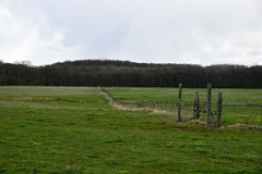 26DSC_4536