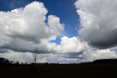 27DSC_4537