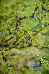 29DSC_4539
