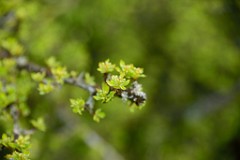 30DSC_4541