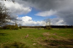 40DSC_4553