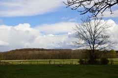 48DSC_4570