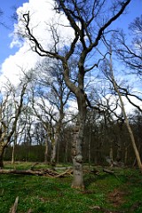 6DSC_4502