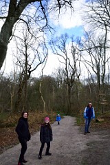 8DSC_4506