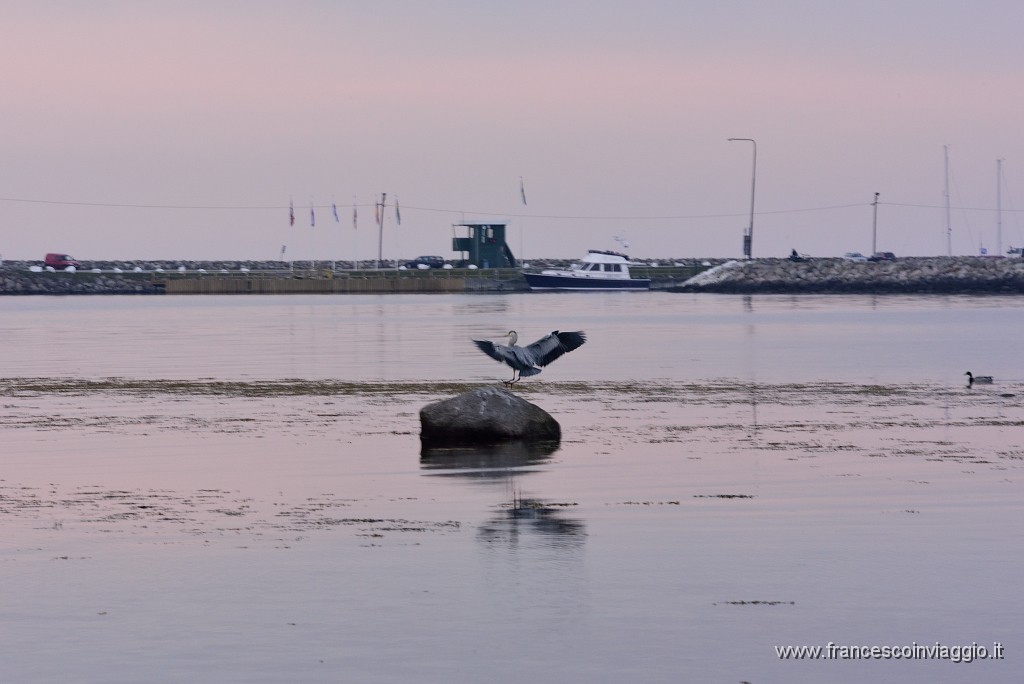 17DSC_4754.JPG