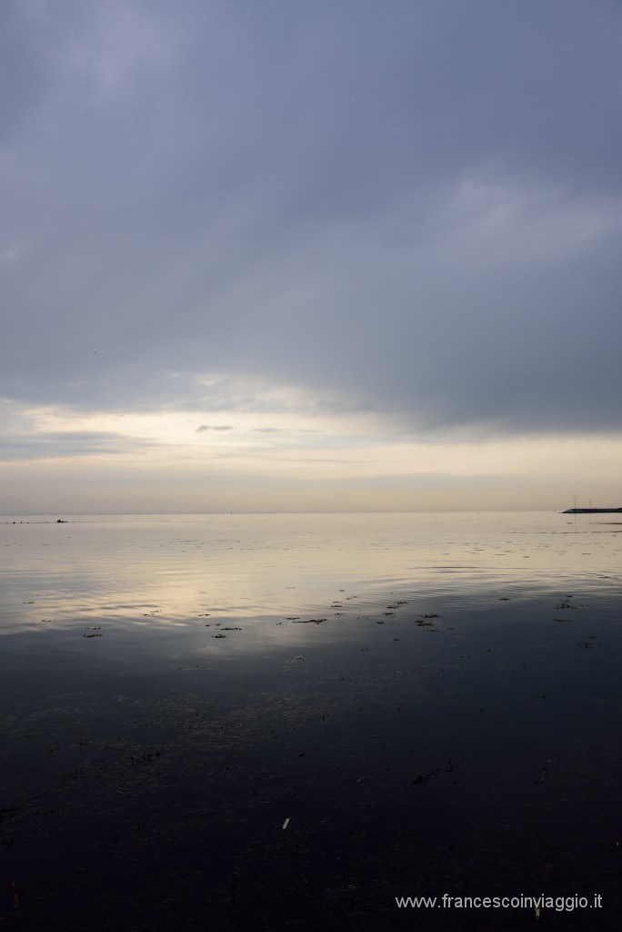 1DSC_4725.JPG