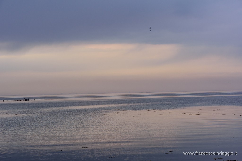 8DSC_4736.JPG