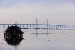 12DSC_4744