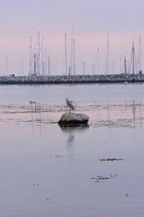 16DSC_4751