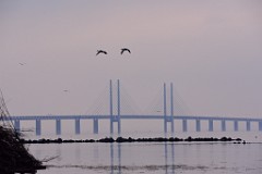 18DSC_4760