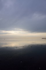 1DSC_4725