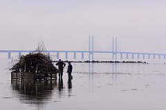 20DSC_4765