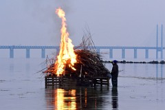 24DSC_4772