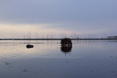 4DSC_4729