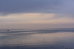 8DSC_4736