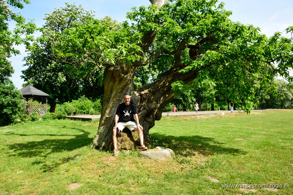 31DSC_7819.JPG