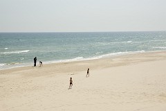 101DSC_7955