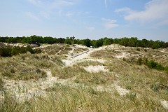 97DSC_7950