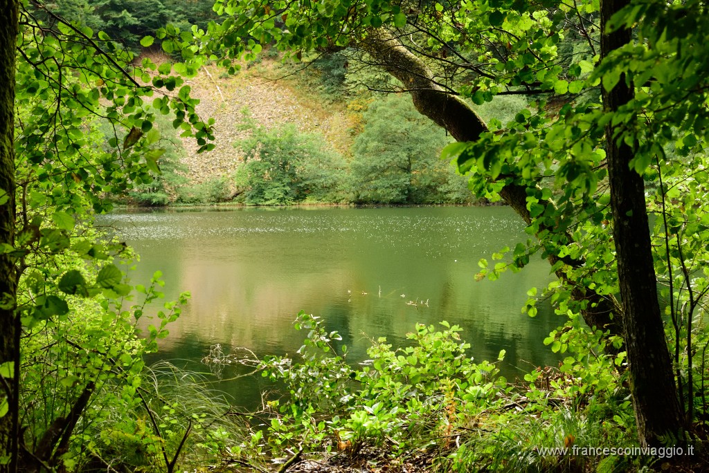100DSC_6550.JPG