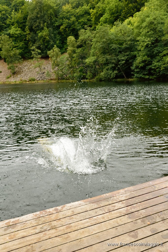 123DSC_6599.JPG