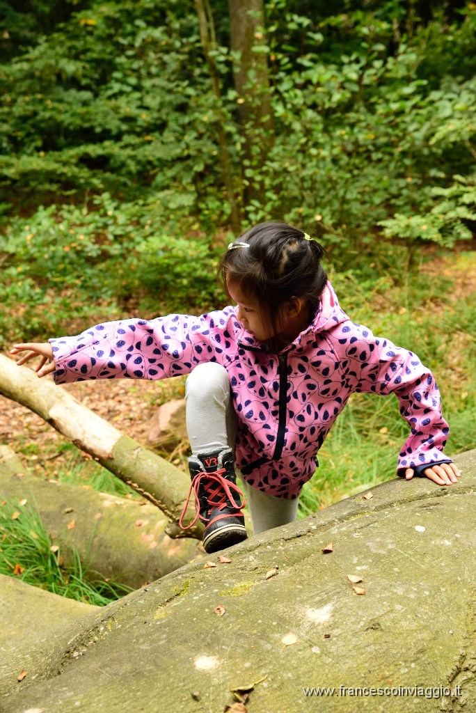 135DSC_6634.JPG