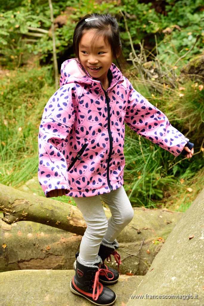 144DSC_6651.JPG