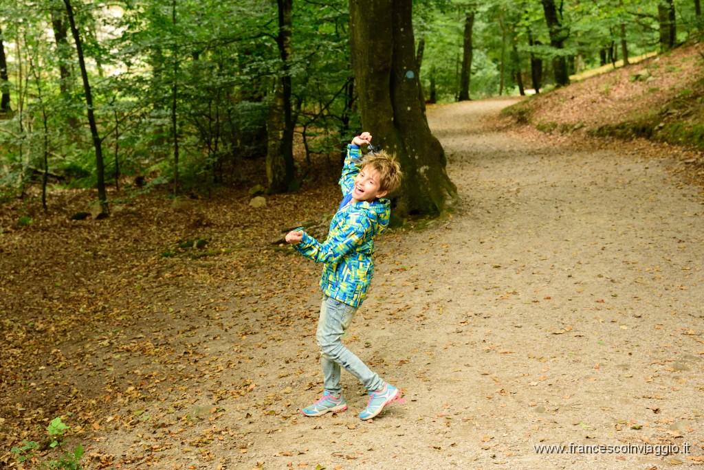 148DSC_6665.JPG