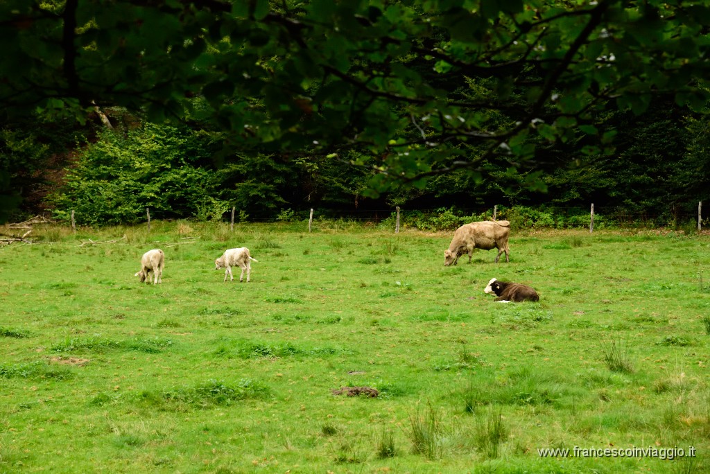 153DSC_6682.JPG