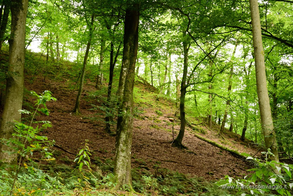 154DSC_6683.JPG