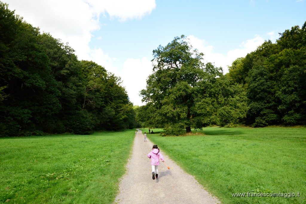 20DSC_6382.JPG