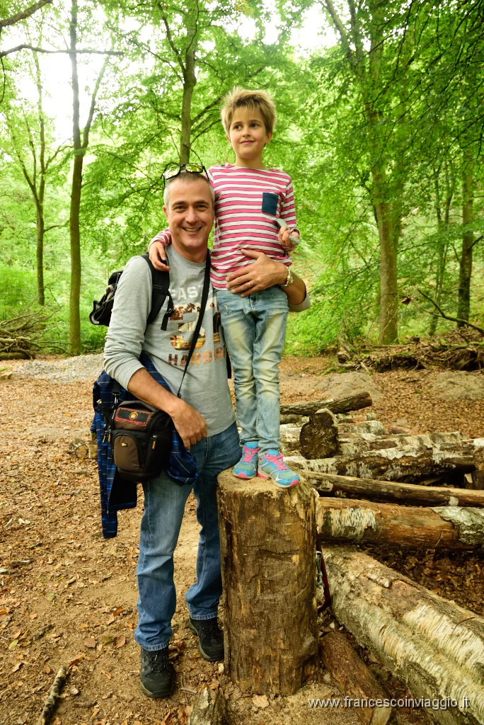 46DSC_6441.JPG