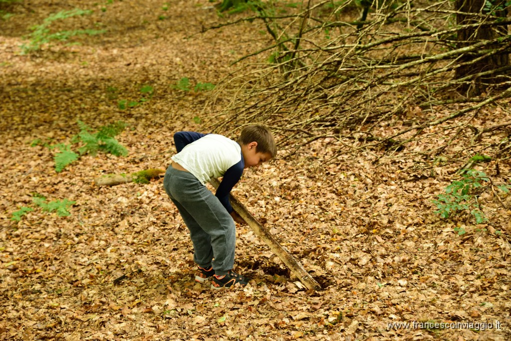 50DSC_6447.JPG