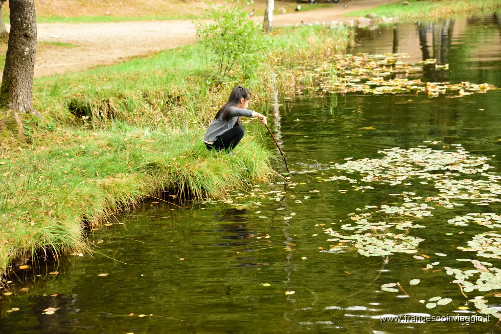 71DSC_6495.JPG