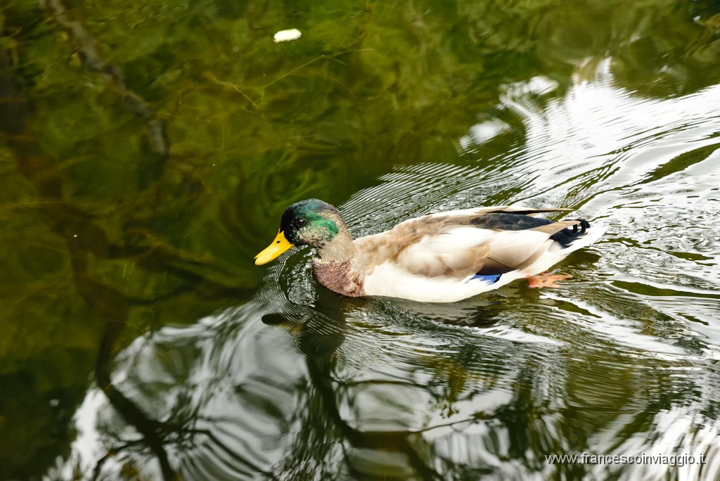 90DSC_6535.JPG