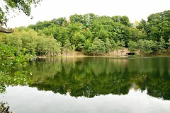 101DSC_6551