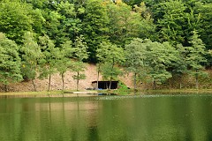 102DSC_6552