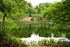 104DSC_6555