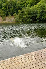 123DSC_6599