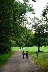 15DSC_6374
