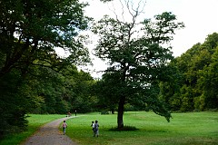 17DSC_6376