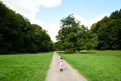 20DSC_6382