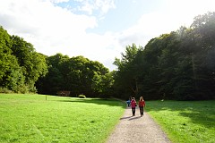 22DSC_6386