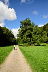23DSC_6389