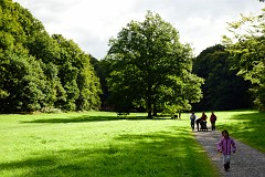 31DSC_6401